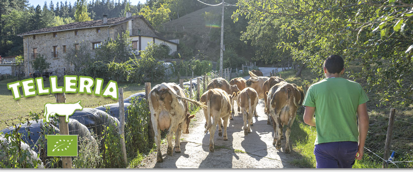 Telleria - queso de vaca y carne ecológica